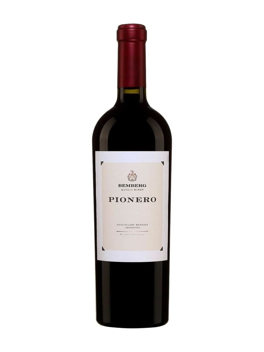 Pionero 2020